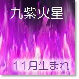 九紫火星 適職 11月生まれ